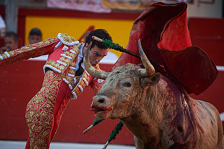 Tomas Rufo performs a chest pass to one of the Alvarez Nunez bulls weighing 680 kilos at the Pamplona Bullring during the 2025 San FermÌn festival.