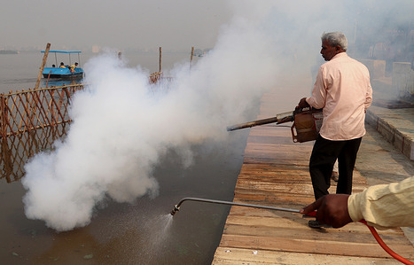 Men spray disinfectants as a precautionary measure against the spread of dengue fever during the preparation of the Chhath ghat as part of the performing rituals for upcoming Hindu festival Chhath Puja at the Bhalswa ghat.
Delhi Government preparing 800 ghats for devotees to perform Chhath Puja to celebrate the Hindu festival in their local areas.