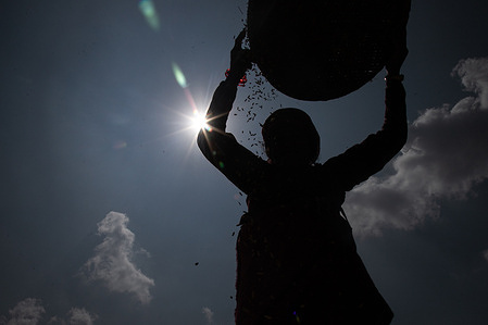 A woman is seen winnowing rice seeds during the harvesting season.
A landlocked country of Nepal agricultural activities are an important economic resource, with wheat and rice being the main food crops.