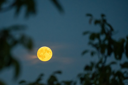 The full moon seen in Trencin. August's full moon is also known as the Sturgeon Moon. Partial lunar eclipse will happen on 28th of August.