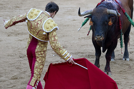 Roman Collado seen bullfighting a bull from the Cebada Gago ranch. The bullfight was taking place in the context of the annual San Fermin Festival, which also feature a bull run through the streets of Pamplona. The festival began in medieval times.