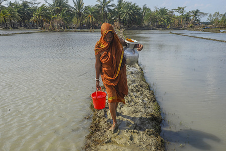 A woman carries drinking water in the aftermath of the extremely severe cyclonic storm Amphan.

Thousands of shrimp enclosures have been washed away, while numerous thatched house, trees, electricity and telephone poles, dykes and croplands were damaged and many villages were submerged by the tidal surge of the Amphan in Khulna District.