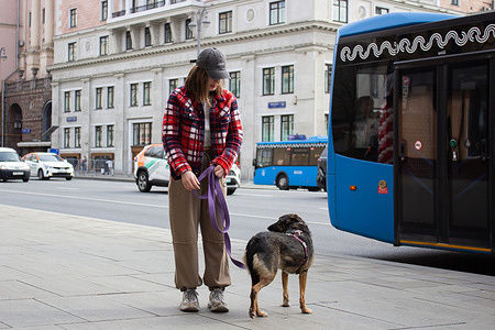 A woman with a dog seen in Moscow. Russian mass media reported that the State Duma, the lower house of the Russian parliament, is expected to pass a bill granting the right to euthanize stray dogs. If adopted, the bill would give regional authorities the power to regulate the matter according to their preferences.