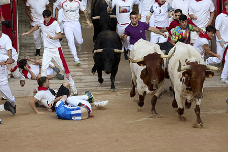 Runners fall and are trampled by the bulls while running alongside the herd during the running of the bulls at the San Fermín 2026 festivities. The bulls are from the Jandilla ranch.