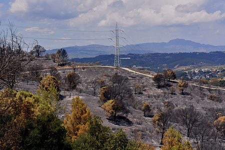 View of burned down area in the Vall Deina neighbourhood during the aftermath.
Sparked by a neighbour doing welding work at his home, Forest fires burned more than 220 hectares. The Police of Catalonia has arrested the main suspect and person responsible.