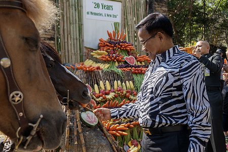 Gen. Kosol Pratumchart, Chairman of the Night Safari Administration Organization feeds a horse during the 20th anniversary event of Chiang Mai Night Safari.