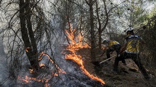 Volunteers from the Syrian Civil Defense seen extinguish a wild fire in the forest that started from unknow reasons near Afrin in northern Syria.