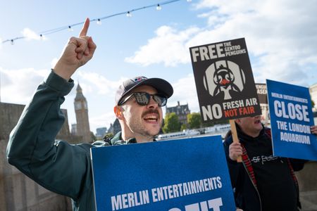 A protester holds a placard against Merlin Entertainments during an animal rights protest outside Sea Life in London. Animal rights activists demonstrated outside SEA LIFE London Aquarium, targeting its owner, Merlin Entertainments, over the use of animals in captive attractions. The protesters accused the company of profiting from animal exploitation and call for the aquarium to be closed as part of a campaign against keeping marine animals in captivity.