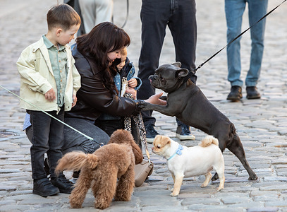 A woman and children are seen interacting with dogs on a cobblestone street in Lviv, Ukraine. The group is engaging with the animals while walking through the city center. On the streets of Lviv, sincere moments of joy and interaction with pets become a vital source of emotional support for residents during these difficult times. Meetings on the cobblestones of the old city, where children and adults find solace in caring for animals, create an atmosphere of warmth and unity. This simple human affection helps overcome the stress of constant air raid sirens and the fear of drone and enemy missile attacks. The ability to find joy in life and keep kindness in one's heart serves as living proof that humanity remains stronger than any destruction.