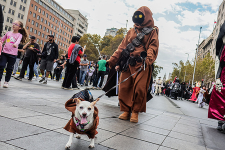 A man and his dog, dressed in Star Wars costumes, participates in the Galaxies Parade. Fans dressed in Star Wars movie costumes participate in the Galaxies Parade.