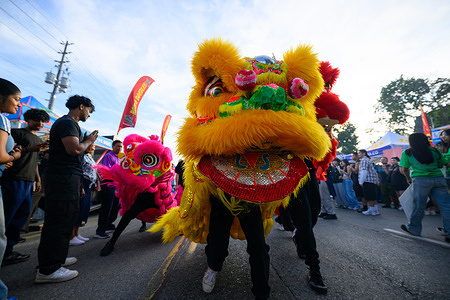 Traditional Chinese lion dancers in vibrant yellow, pink, and red costumes perform for a crowd along Lawrence Avenue East during the 21st annual Taste of Lawrence festival. The cultural performance is a signature event of the three-day festival, highlighting the multicultural fabric of the Wexford Heights community.