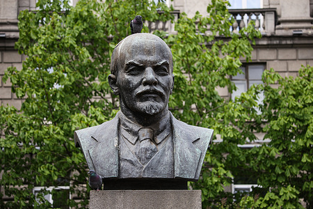A pigeon is perched on the bust of Russian revolutionary, major Marxist theorist, Soviet politician, and statesman Vladimir Lenin by sculptor Vladimir Ingall in the square at the corner of Bolshoy Prospekt and Lenin Street in the Petrogradsky district on a sunny day in St. Petersburg.