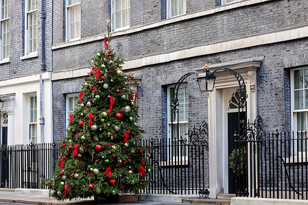 Christmas tree outside No 10 Downing Street, London.