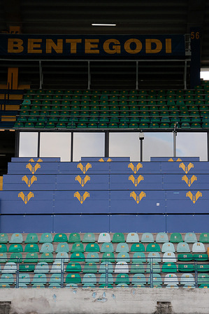 A view of Marcantonio Bentegodi Stadium.
