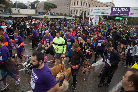 Hundreds of runners seen running with their dogs during the Perrotón 2018 dog run to encourage the adoption and responsible ownership of pets. The event was also attended by celebrities and politicians.