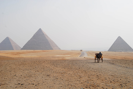 A man in a horse-drawn cart rides by the pyramids at Giza.