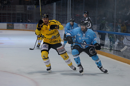 Patrick Machac (R) of the Marseille team and Milan Kytnar (L) of the Rouen team seen in action during the Hockey Championship between Marseille Hockey Club and Rouen Hockey Élite 76 at Palais Omnisports. Final score; Marseille 3:5 Rouen.
