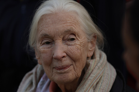 Dr. Jane Goodall, renowned primatologist and the world’s leading expert on studying the social and family interactions of wild chimpanzees, looks on during an event to plant tree saplings with students and community members to promote environment conservation to young students hosted by The Jane Goodall Institute Nepal at Shree Tika Vidyashram Higher Secondary School in Lalitpur.