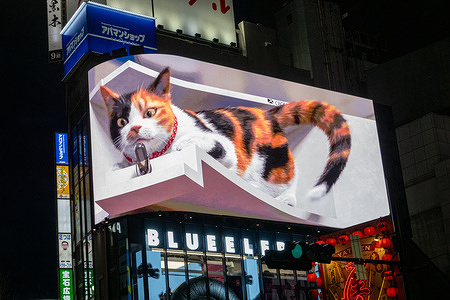 The Shinjuku 3D Cat appears on the Cross Shinjuku Vision digital billboard above a busy street near Shinjuku Station East Exit in Tokyo. The 3D cat billboard in Shinjuku is a massive curved LED screen that creates the illusion of a giant cat moving in and out of the building above the busy east exit of Shinjuku Station. The lifelike animations have become a viral attraction, drawing crowds who stop to watch and photograph the playful digital display.