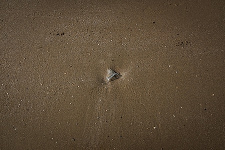 A fragment of plastic waste seen partially buried in the sand on a tourist beach. Plastic and mixed waste scattered along a popular tourist beach in Rayong, highlighting the environmental impact of coastal pollution in a high-traffic leisure area.