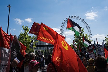 Protesters march with Communist Party flags during the demonstration. The 77th anniversary of the Nakba, a Pro-Palestine protest led by Palestine Solidarity Campaign takes place in Central London, commemorating the violent displacement of an estimated 750,000 Palestinians by Israel in 1948. Tens of thousands of pro-Palestine protesters marched through Westminster.