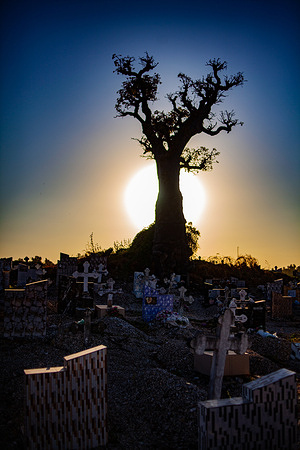 A Catholic-Muslim church, also built on shells and the inevitable baubabs, is connected to the island of Fadiouth by a bridge.