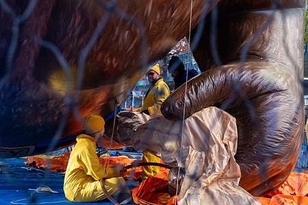 Inflation crew work on inflating Smokey the Bear. Every year since 1994, Macy’s holds The Macy's Balloon Inflation Celebration on the Wednesday before Thanksgiving. Held on the Upper West Side, alongside the Museum of Natural History the public is invited to view the inflation of the massive ballons that will be included in the Macy’s Thanksgiving Day Parade.
This year there are 22 balloons including 6 new characters.