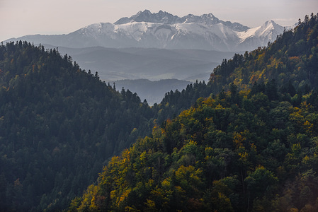 A view of slovakian side of Pieniny National Park during Autumn.
Pieniny National Park it is an exclusive protected area in the heart of Pieniny Mountains divided between Poland and Slovakia. The golden autumn is known to be the most attractive time of the year to visit Pieniny, due to the different kind of trees, creating a visual effect of intensive yellow and orange colors.