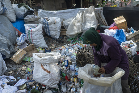 A scavenger collects used plastic bottles in sacks at a landfill in Lhokseumawe, Aceh province.
The World Bank report shows that around 105 thousand metric tons of municipal waste are produced in Indonesia every day. This figure is expected to increase by 150 thousand tons by 2025. Poorly managed municipal waste will enter waterways and eventually become a problem for the Indonesian oceans. Analysis conducted by the World Bank in 2018 in 15 cities in central and western Indonesia shows that the composition of municipal waste varies, 44% organic waste, 21% diapers, and 16% plastic bags.
