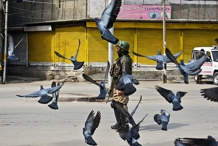 Pigeons fly as an Indian policeman patrols during curfew in Srinagar, Indian administered Kashmir. As Muslim majority areas of Kashmir Monday observed complete shutdown to protest the killing of 4 civilians and 2 rebels allegedly in army firing on Sunday in district Shopian, south of Srinagar city. Authorities imposed curfew in several areas to stop street protests. The call for shutdown was given by the separatist groups. Mobile Internet service has been snapped in twin districts of Pulwama and Shopian while high-speed Internet service was shut in the rest of the Valley.