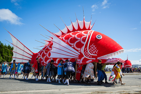 Participants seen moving a sea bream figure during the festival.
The sea bream or tai maturi festival is a traditional festival in Minamichita, Aichi, Japan. It’s also called the strange festival or unusual festival, a float of bream is carried by young people who walk around town and the sea. Its purpose is to pray for marine safety and good catch.