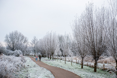 A couple is seen walking through a frosty landscape. Because of the very low temperatures (around -11 degrees Celsius during the nights) this weekend, some parts of Southern Netherlands dawned with spectacular white landscapes.