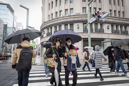 Pedestrians hold umbrellas while crossing the road during snowfall in Ginza, Tokyo.