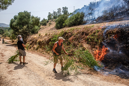 Residents try to put out the fire with tree branches. The extreme heat, with more than 45 degrees, and the strong wind of Scirocco have favored the fires and have made the operations of the forestry corps hard. In the tourist town of Castellammare, the inhabitants had to organize themselves to put out the fire that threatened the houses helped by a small group of firefighters, due to most of them were busy fighting the fires in the city of Palermo.