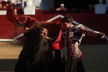 Pedro Gutierrez “El Capea”, a bullfighter from Salamanca, makes a pass with his cape to the bull from the Navarra Hermanas Azcona cattle ranch during the bullfighting. Bullfights were held at the Plaza de Estella, Navarra with Pablo Hermoso de Mendoza, his son Guillermo and the bullfighter Pedro Gutierrez "El Capea". Four bulls from the Portuguese Tenorio cattle ranch and two bulls from the Hermanas Azcona de Navarra cattle ranch took part in the event.