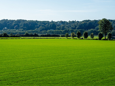 General view of a very green field on a sunny day.