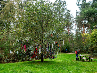 A man is seen taking a look at some books placed on a table, close to a tree decorated with scarfs.