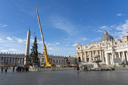 Lifting and placing of the tree in St. Peter's Square. Arrival and lifting of Christmas Tree, arrived from the upper Maira valley, in the municipality of Macra, in the diocese of Saluzzo and the province of Cuneo, Italy, in St. Peter's Square.