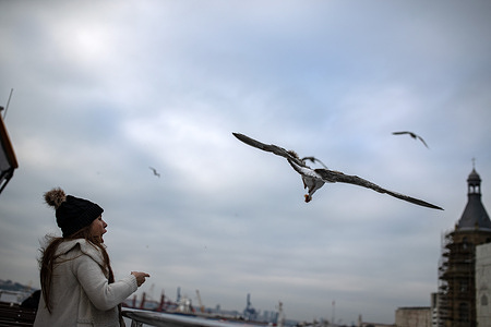 A passenger seen trying to feed the seagulls on the terrace of the city ferry in Istanbul.
