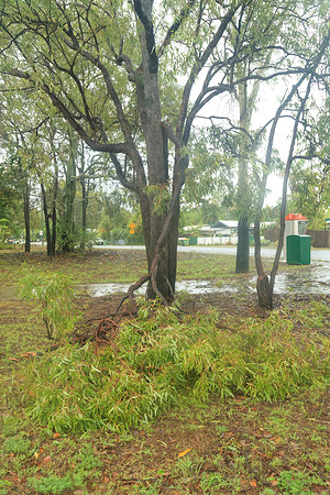 Debris and branches of trees seen in the aftermath of Tropical Cyclone Jasper in the northern beaches suburb of Holloways Beach in Cairns. Tropical Cyclone Jasper made landfall over the Cairns region as a Category 2 System on Wednesday 13 December, bringing widespread flooding, debris and powerful winds. Many in Far North Queensland are familiar with tropical storms, but varying terrain and prior ground and coastal conditions continue to bring new problems such as flash flooding and erosion. Some areas such as the suburbs of the Northern Beaches can become flooded, as is the case in Holloways Beach.