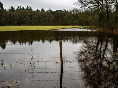 The field is flooding caused by the heavy rainfall brought by Storm Henk. Storm Henk, the first storm of 2024 in the Netherlands, has prompted a Code Orange warning across the country, indicating a potential risk of flooding in low-lying areas. The combination of heavy rainfall and strong gusts accompanying Storm Henk has led to concerns about flooding. Hence, agricultural fields have succumbed to high water levels, unable to absorb the deluge. Additionally, the saturated soil has weakened tree roots, resulting in numerous trees toppling over.