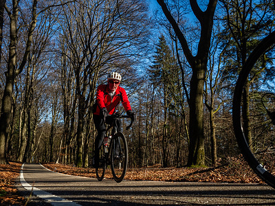 A man is seen riding a bike on the road surrounded by a forest. After enduring three consecutive storms (Henk, Jocelyn, and Isha) that hit the Netherlands in January, Sunday morning on January 28 brought pleasant weather, and hikers and bikers enjoyed sunny and cold temperatures.