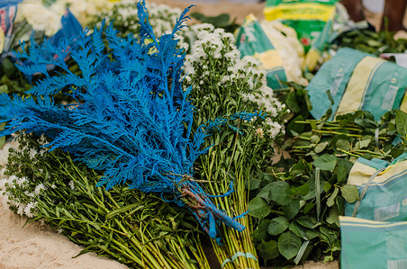 View of blue flowers that devotees often use during the celebration of Iemanjá's day. Every year, across the country, Brazilians of all faiths gather to celebrate the Candomblé goddess of the sea, Iemanjá. On February 2nd, they gathered to celebrate Iemanjá's day in all parts of Brazil. In Rio de Janeiro, is one of the most important celebration to orixá Iemanjá and it took place at Arpoador Beach. Iemanjá's day is a celebration about the culture and ancestralism history of the black people and diaspore history, celebrating the music, art and language.
