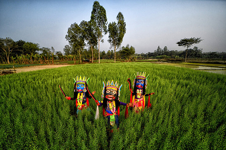 Masked dancers of the Gomira dance troupe perform at a big mustard field in a village near Raiganj. Gomira is a masked dance form. The word ‘Gomira’ has been derived from the colloquial form of the word ‘Gram-Chandi’ or the female deity who is the protective force of the village. The exact origin of the dance form is not traceable and the knowledge has been lost over time. Gomira dance is a rural dance form mainly practiced in the Dinajpur district of West Bengal. The Gomira dances are organized to appease the deity to usher in the 'good forces' and drive out the 'evil forces'. It is usually organised during mid-February to mid-July. There are no fixed dates but each village has its own Gomira dance troupe and organizes at least one dance performance during this period. The use of wooden masks is characteristic of the dance festivals of the Gomira.