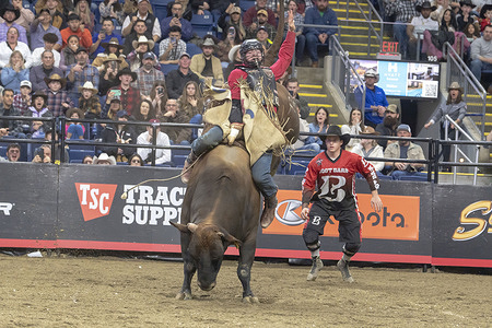 BRIDGEPORT, CONNECTICUT - MARCH 02: Grayson Cole rides Air Marshall during the Professional Bull Riders (PBR) Pendleton Whisky Velocity Tour event at Total Mortgage Arena on March 2, 2024 in Bridgeport, Connecticut.