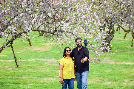 An Indian tourist couple takes a selfie inside the blooming almond orchard during a spring day in Srinagar. Spring has arrived in Kashmir valley, which marks a thawing of the lean season for tourism in the Himalayan region. Spring has arrived in Kashmir valley, which marks a thawing of the lean season for tourism in the Himalayan region.
