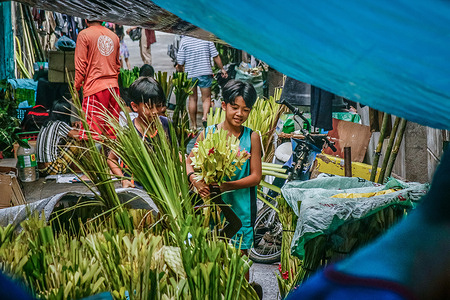 A boy carries palm fronds in the street in preparation for Palm Sunday in Antipolo City. Palm Sunday, according to the Catholic faithful, marks the commencement of the week known as Holy Week.