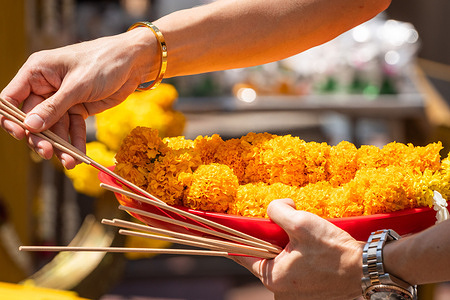 A close-up of an offering made of a garland of flowers and incense, at the Erawan Shrine, in downtown Bangkok. The Erawan Shrine, dedicated to the Brahma god, is a revered site where visitors from Thailand and around the globe offer incense, garlands, fruits, and elephant statues, hoping their wishes will come true. Additionally, the shrine contributes to charitable causes, providing support to hospitals and organizations throughout Thailand.