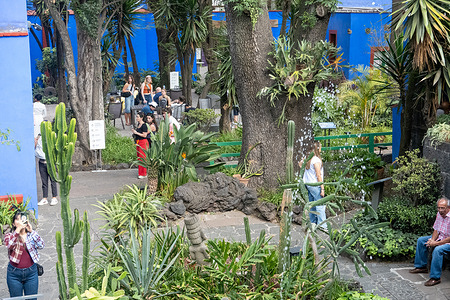 Visitors walk through the courtyard of The Frida Kahlo Blue House Museum. The Frida Kahlo Blue House Museum, located in Mexico City, is the former home of the renowned artist Frida Kahlo. It offers visitors a glimpse into Kahlo's life and art, showcasing her personal belongings, artwork, and the vibrant atmosphere that inspired her iconic works.