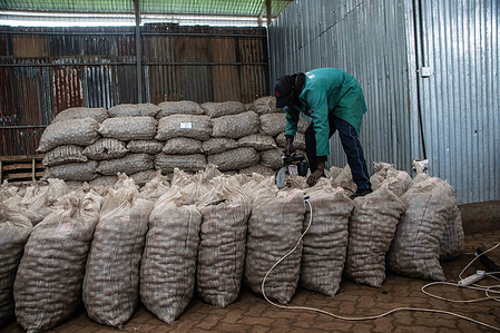 A worker sews up potato sacks at a warehouse in Mau Narok, Nakuru County. Extreme weather patterns are affecting potato cultivation.